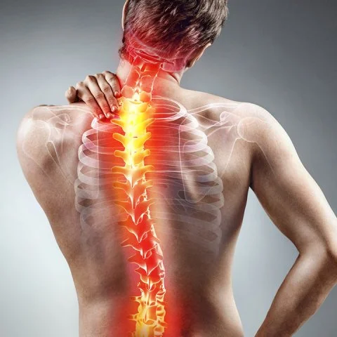 Ankilozan Spondilit Hastalığı