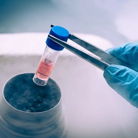 Kök Hücre Hangi Hastalıklarda Etkilidir?